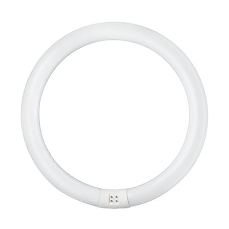 หลอดนีออนกลม PHILIPS TLE 32/54 สีขาว G10q_0