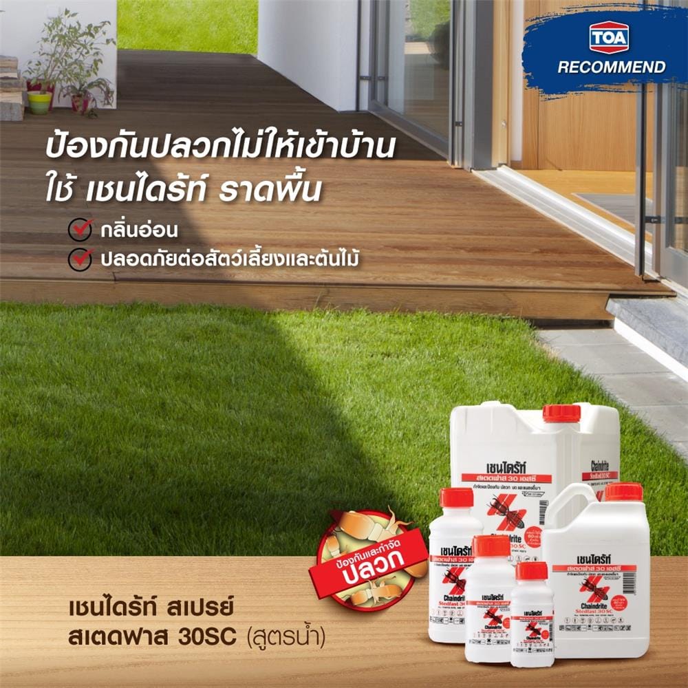 น้ำยากำจัดปลวก CHAINDRITE 30SC 250 ซีซี