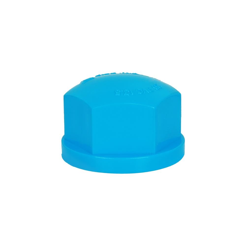 ฝาครอบเกลียว ท่อน้ำไทย 3/4" สีฟ้า