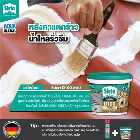 อะคริลิกกันซึม SISTA D100 PLUS 2 กก. สีขาว_2