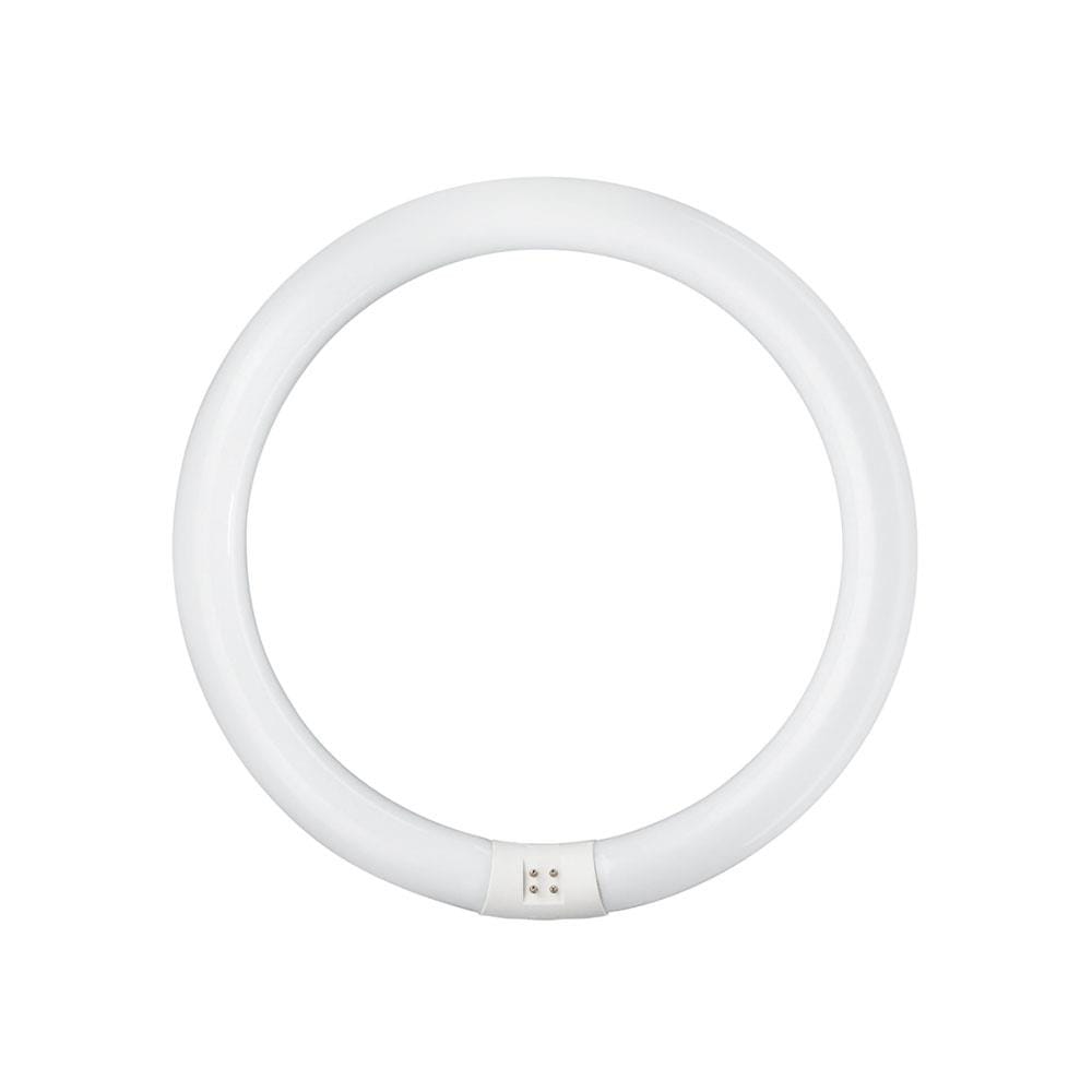 หลอดนีออนกลม TLE PHILIPS 32/86 CDL สีขาว G10q