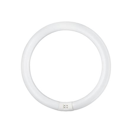 หลอดนีออนกลม TLE PHILIPS 32/86 CDL สีขาว G10q_0