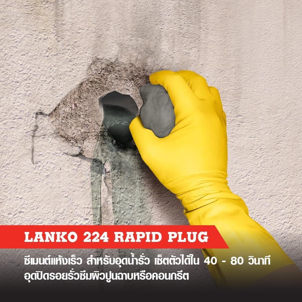 ซีเมนต์ปลั๊ก LANKO 224 1 กก.