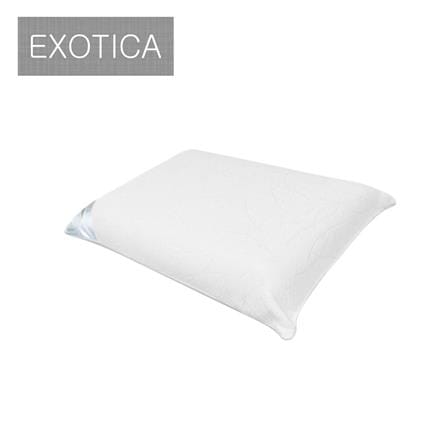 หมอนสุขภาพ ยางพารา EXOTICA PL1L-00XO 19x29 นิ้ว สีขาว