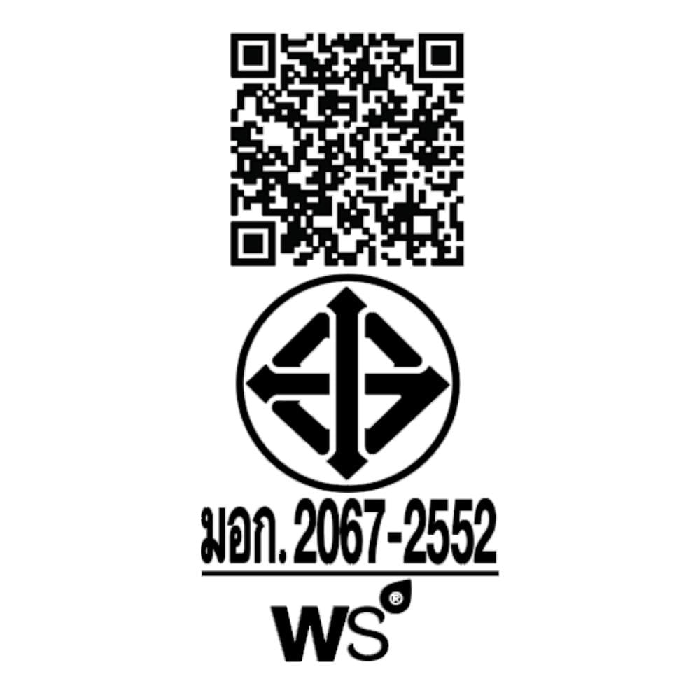 ก๊อกซิงค์เดี่ยวเคาน์เตอร์ WS WS-0433