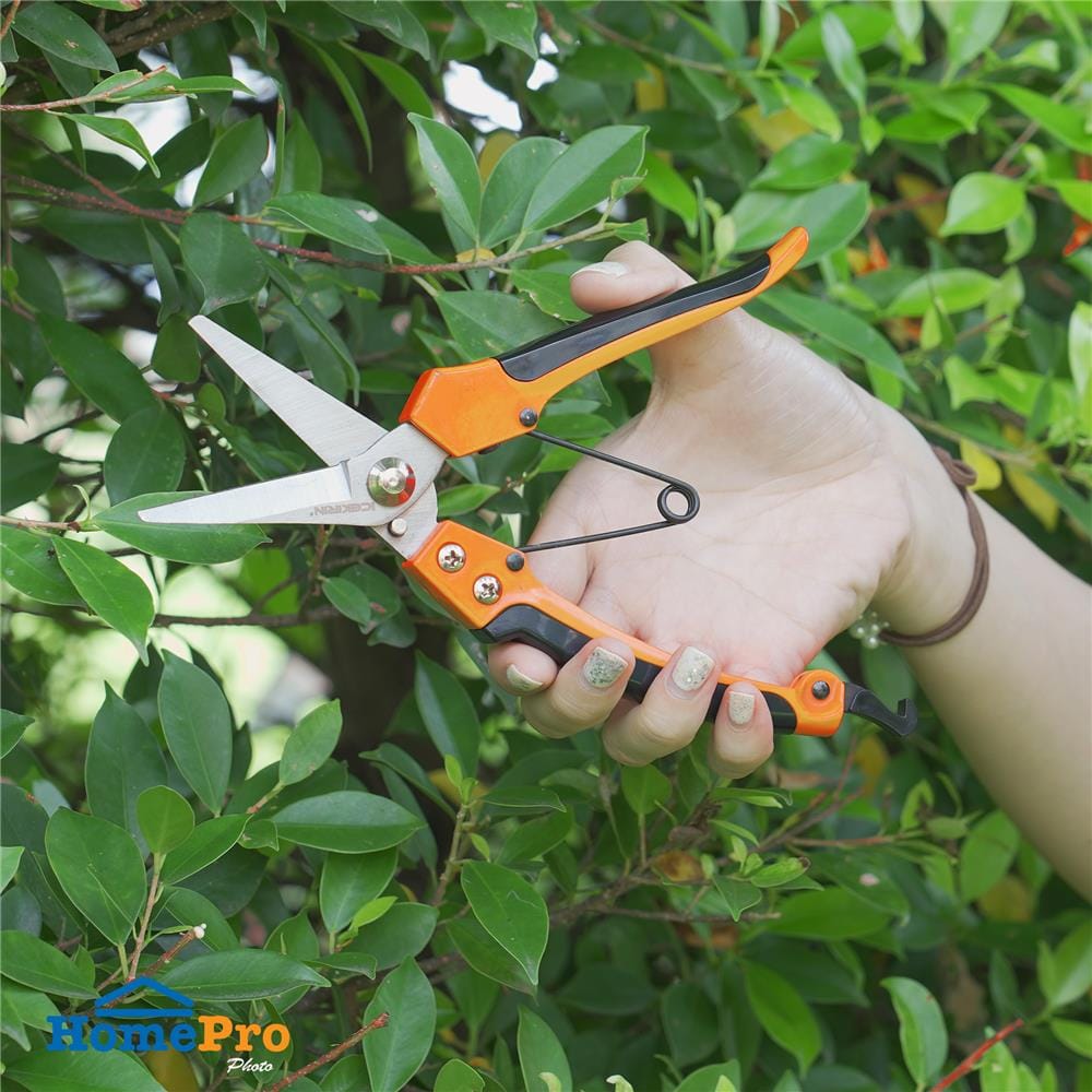 กรรไกรตัดกิ่ง ปากตรง SPRING AN-PS-807C