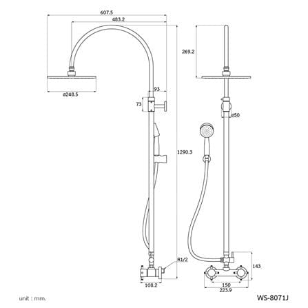 ฝักบัว RAIN SHOWER ผสม WS WS-8071L สเตนเลส_1