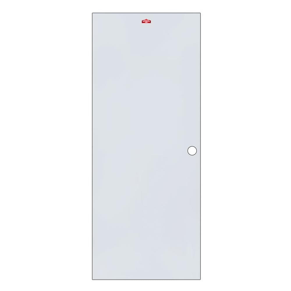 ประตูภายนอกเหล็ก เจาะลูกบิด PROFESSIONAL DOOR D1G 79.2x199.4 ซม. สีเทา