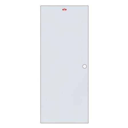 ประตูภายนอกเหล็ก เจาะลูกบิด PROFESSIONAL DOOR D1G 79.2x199.4 ซม. สีเทา