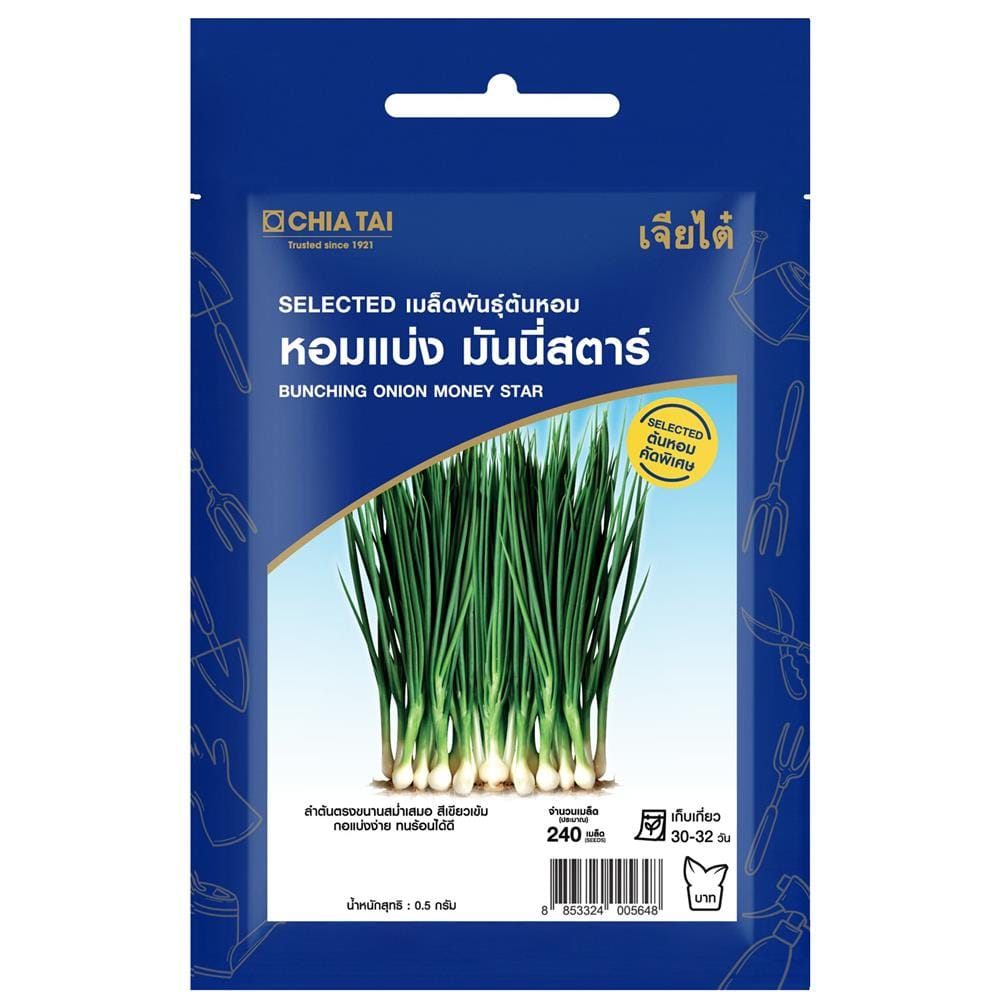 เมล็ดพันธุ์หอมแบ่ง มันนี่สตาร์ ตราเจียไต๋ 0.5 กรัม