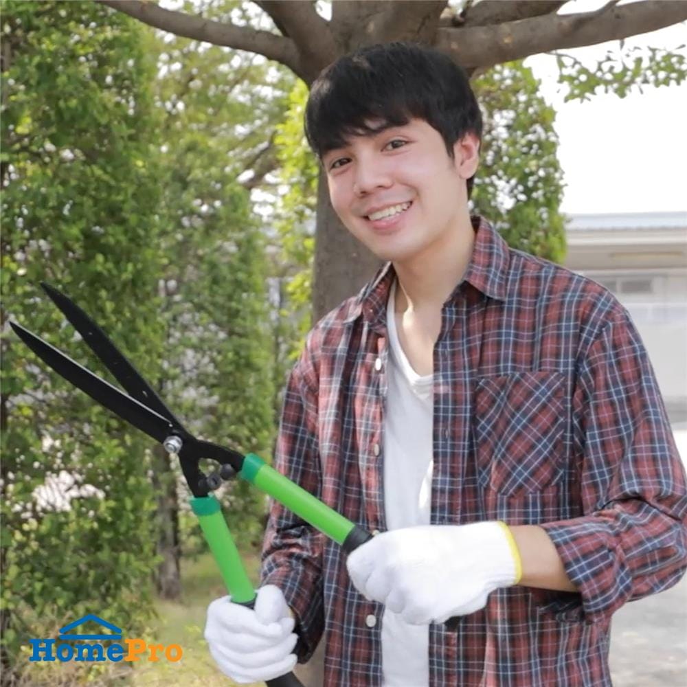กรรไกรตัดหญ้าปากตรง SPRING 19 ซม.