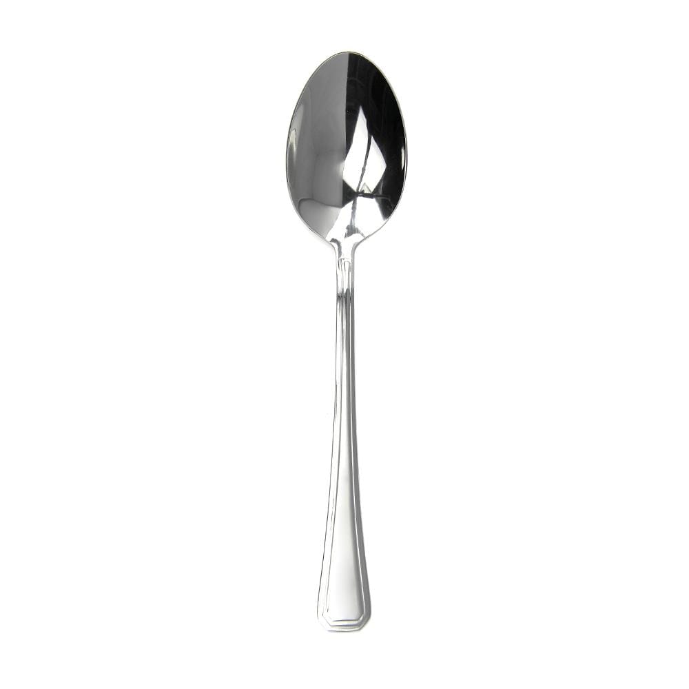 STAINLESS STEEL DINNER SPOON COLOR KIT #065