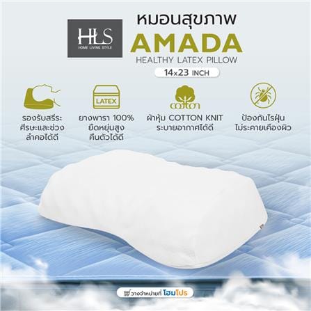 หมอนสุขภาพ ยางพารา HOME LIVING STYLE AMADA 14x23 นิ้ว สีขาว_9