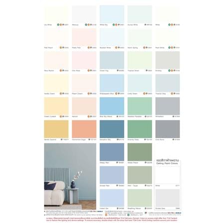 สีรองพื้นปูนเก่า TOA SUPERSHIELD DURACLEAN 9 ลิตร_2