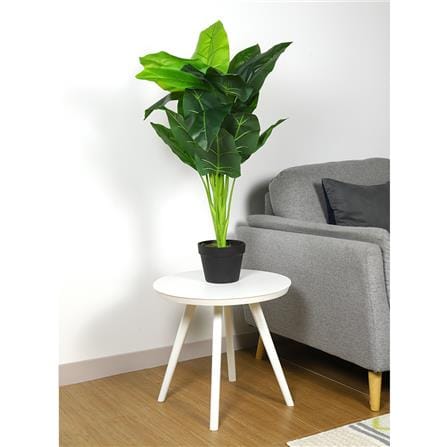 ต้นเศรษฐีวิลสันประดิษฐ์ LALA HOME 80 ซม._2