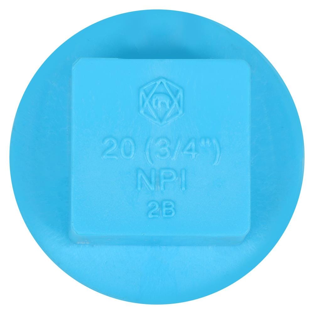ปลั๊กอุดเกลียวนอก-หนา SCG 3/4 นิ้ว สีฟ้า