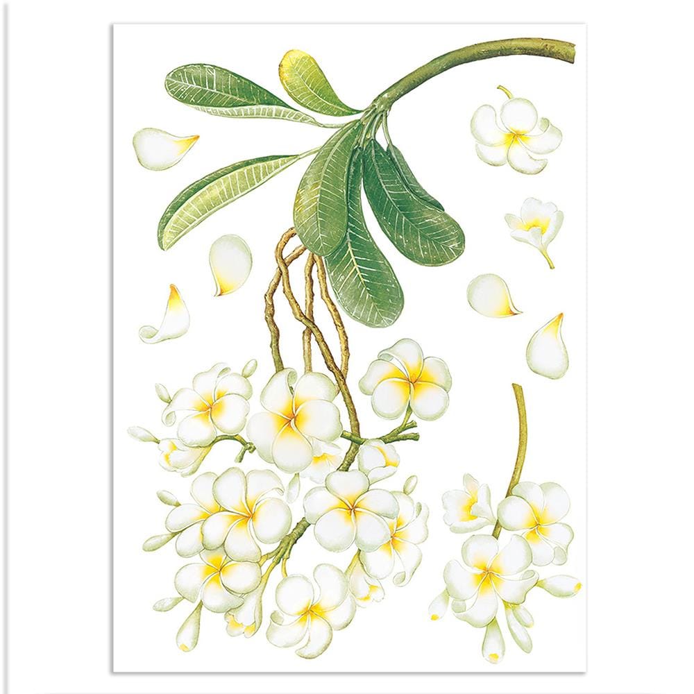 สติ๊กเกอร์ลอกน้ำ DIY HOME LIVING STYLE FLOWER 34X47 ซม.