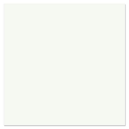 กระเบื้องพื้น 60x60 ซม. TARA ทริปเปิ้ล ไวท์ นิว 1.44M2_0