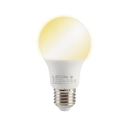 หลอด LED EVE 3IN1 9 วัตต์ DAYLIGHT COOLWHITE WARMWHITE E27_1