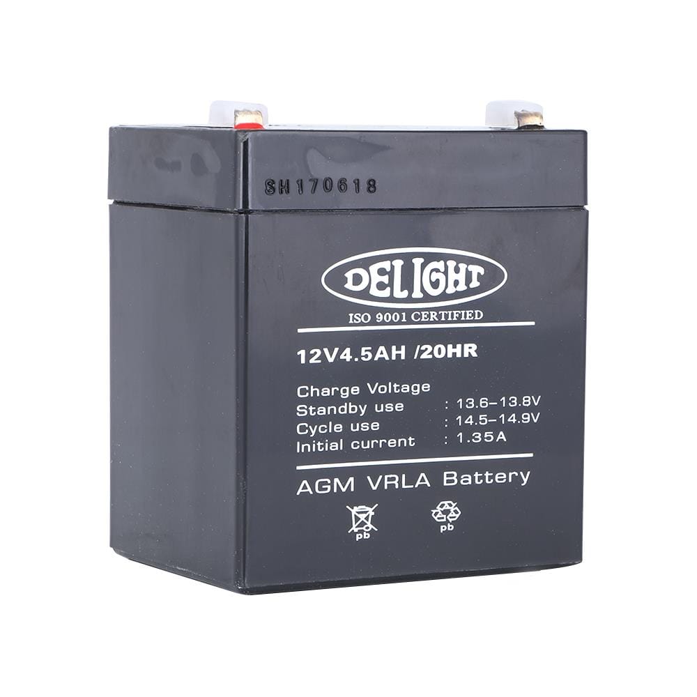 DRY BATTERY 12V 4.5AH DELIGHT