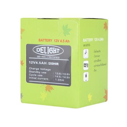 DRY BATTERY 12V 4.5AH DELIGHT_1