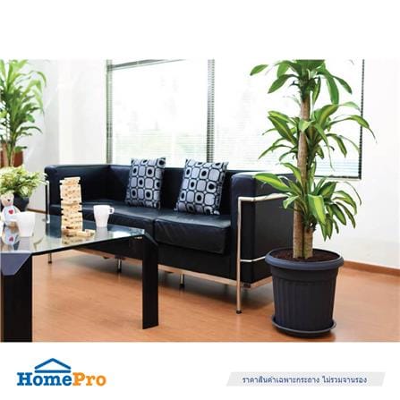 กระถางพลาสติก BABA RD-310 สี CHARCOAL_5