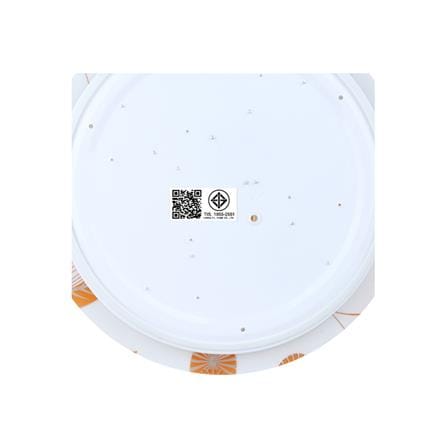 ไฟเพดาน LED NAGAS ALMA BR-3 16 นิ้ว 24 วัตต์ DAYLIGHT สีขาว_3
