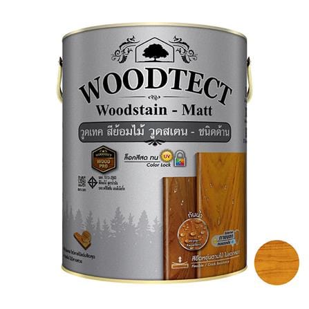 WOODSTAIN MATT WOODTECT WOODSTAIN WM601 TEAK 1GAL