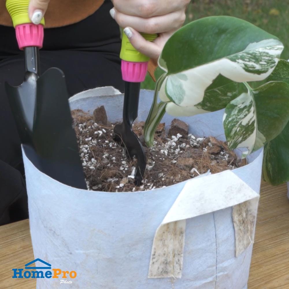 ส้อมพรวนดิน ด้ามจับพลาสติก SPRING FG01PG