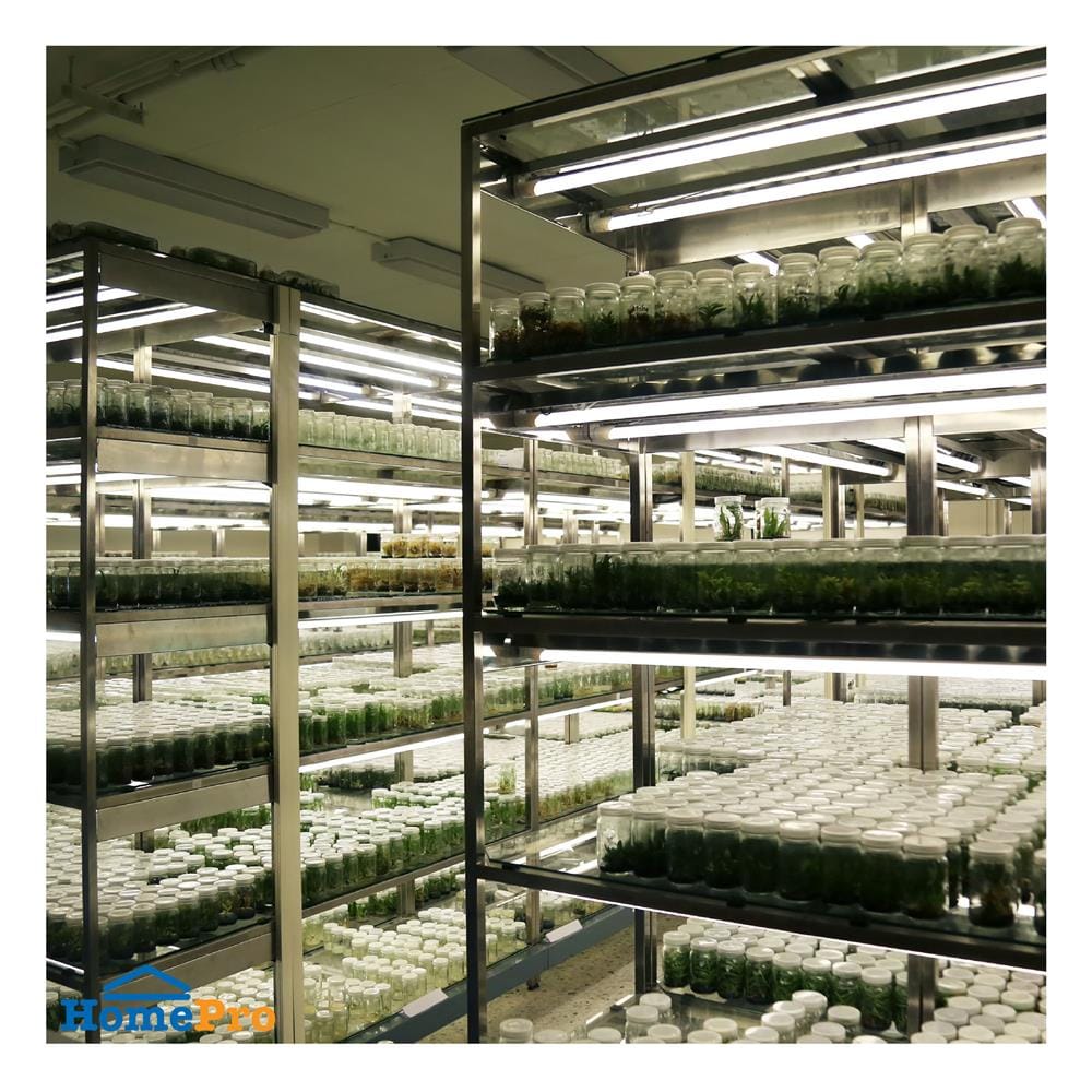 ชุดรางนีออน LED EVE 558335 22 วัตต์ DAYLIGHT
