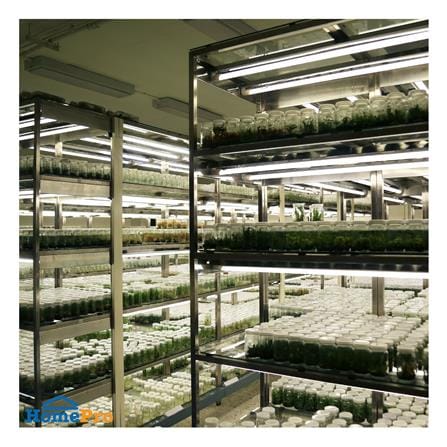 ชุดรางนีออน LED EVE 558335 22 วัตต์ DAYLIGHT_3