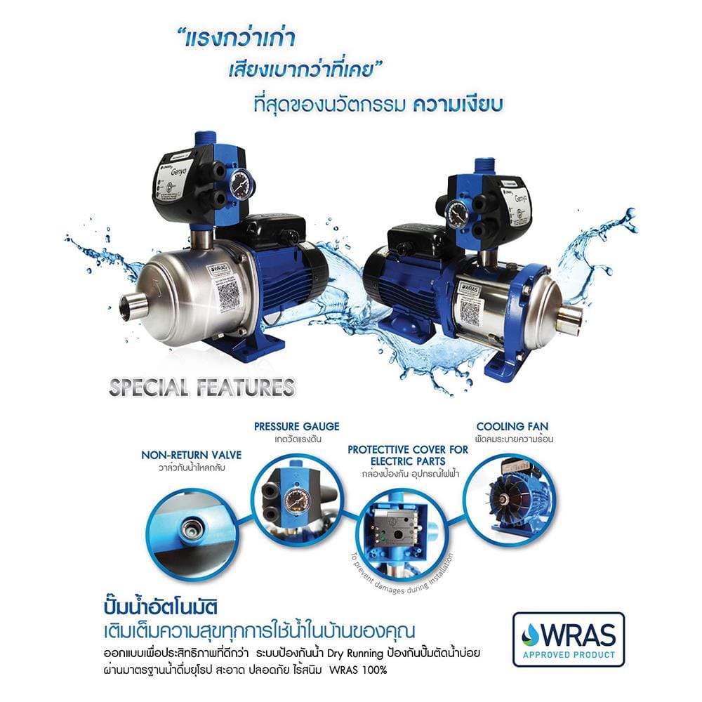 ปั๊มน้ำอัตโนมัติ LOWARA 5HM06/PF12 750 วัตต์