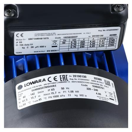 ปั๊มน้ำอัตโนมัติ LOWARA 5HM06/PF12 750 วัตต์_2