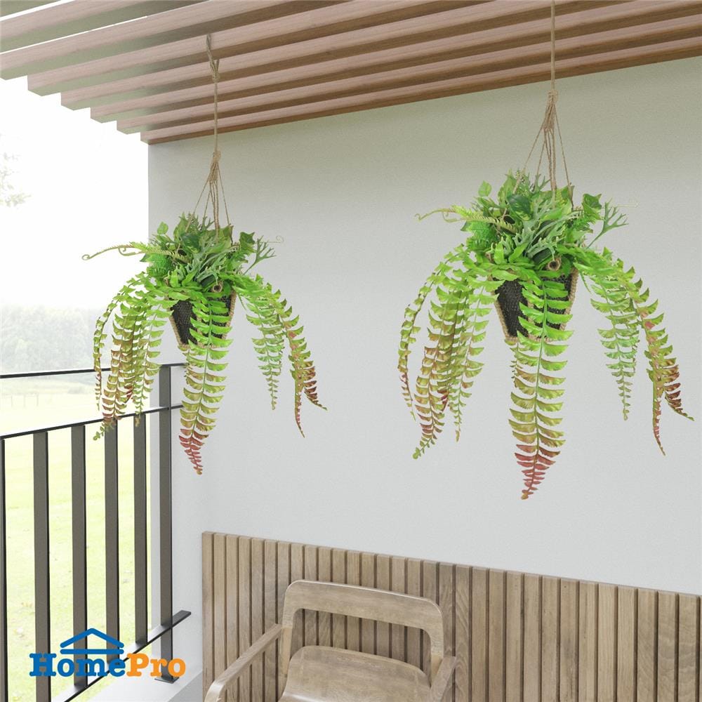 กระเช้าเฟิร์นประดิษฐ์ (สั้น) SPRING TY-H05