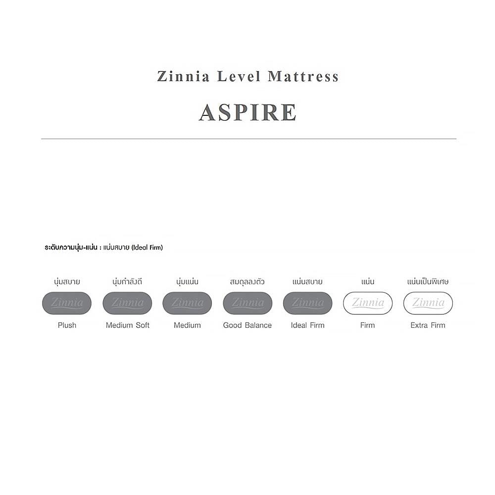 ที่นอนสปริง 3.5 ฟุต ZINNIA รุ่น ASPIRE