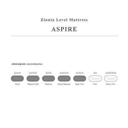ที่นอนสปริง 3.5 ฟุต ZINNIA รุ่น ASPIRE_3