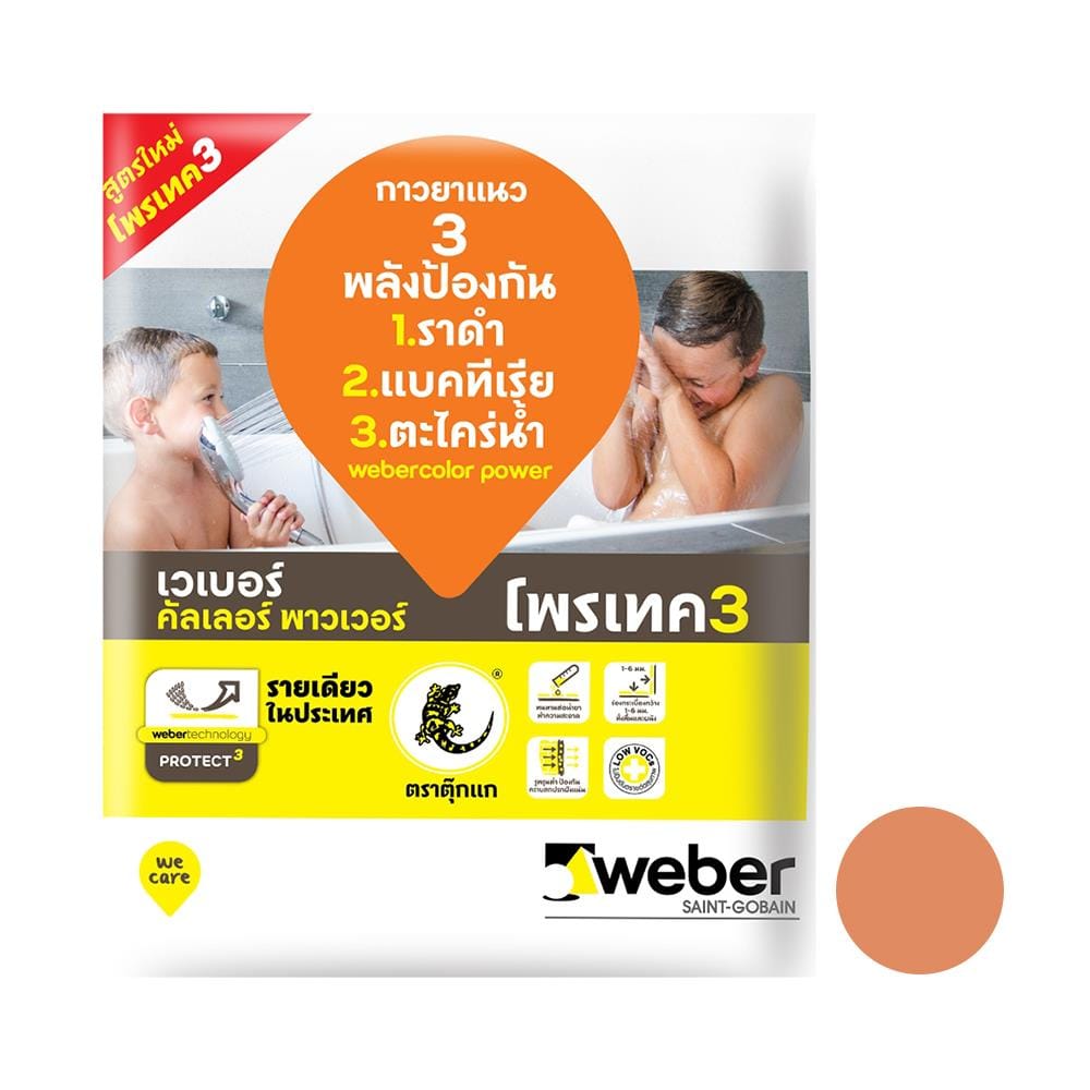 กาวยาแนว คัลเลอร์ พาวเวอร์ น้ำตาล แซนด์ 1 กก.