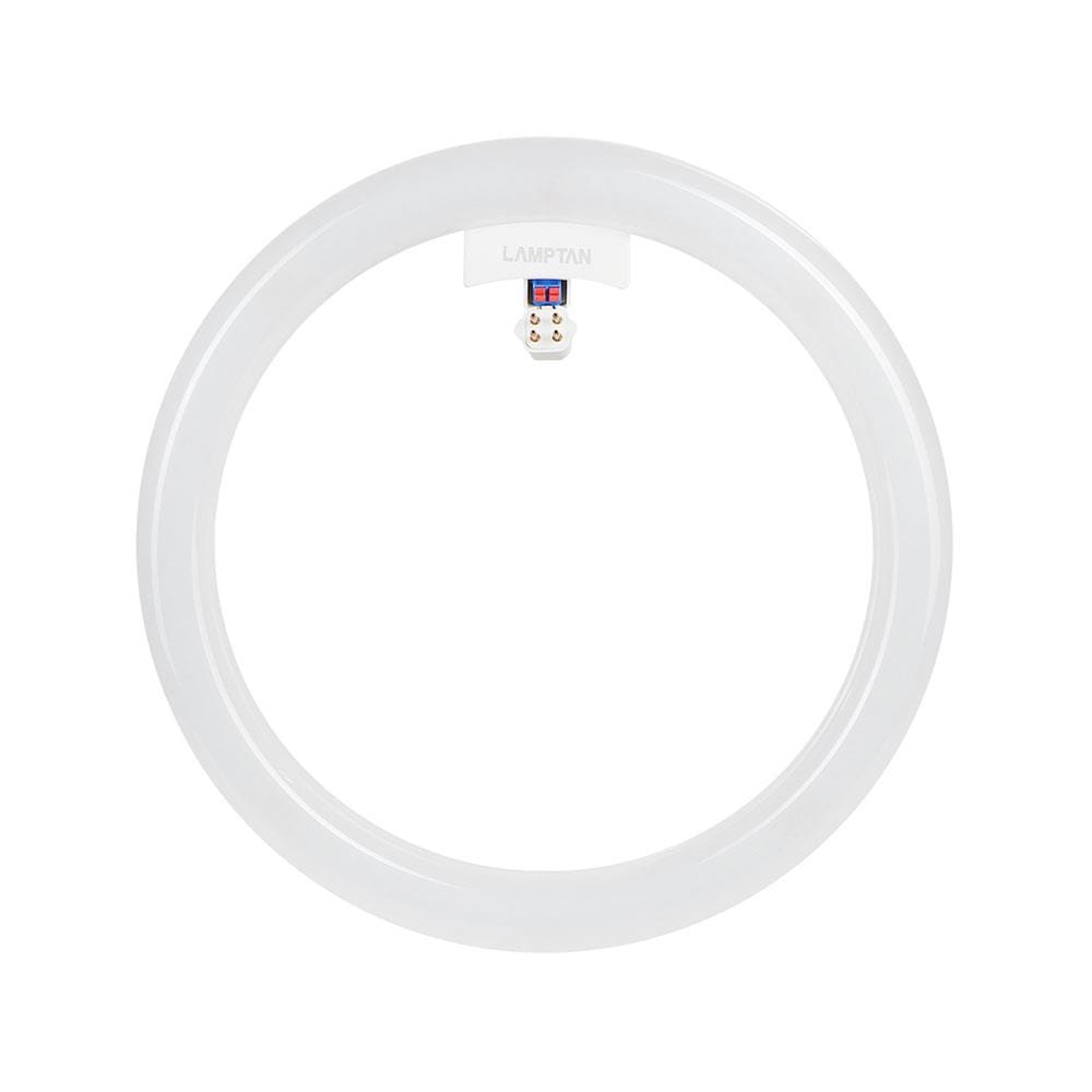 หลอด LED LAMTAN Module Circular 33 วัตต์ DAYLIGHT G10q