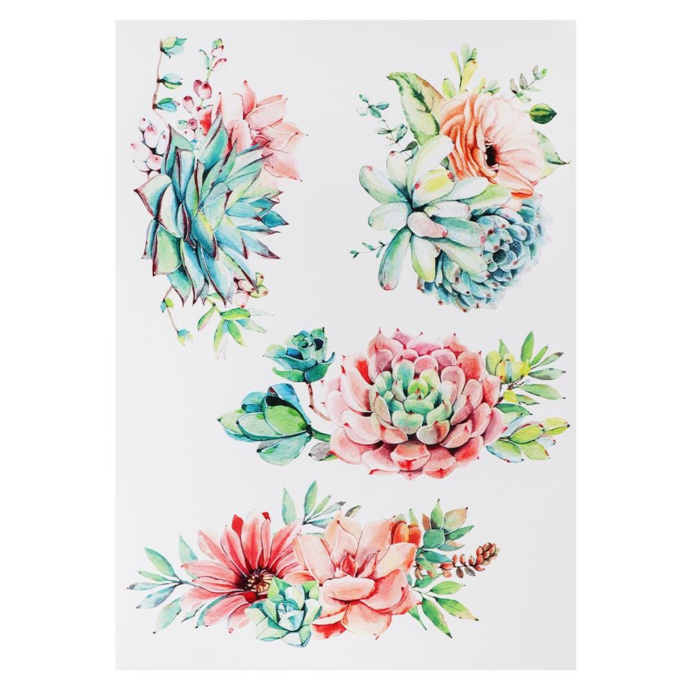 สติ๊กเกอร์ลอกน้ำ DIY HOME LIVING STYLE SUCCULENT 34X47 ซม.
