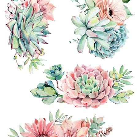 สติ๊กเกอร์ลอกน้ำ DIY HOME LIVING STYLE SUCCULENT 34X47 ซม._1
