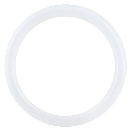 หลอด LED PHILIPS Circular 20 วัตต์ COOLDAYLIGHT G10q_0
