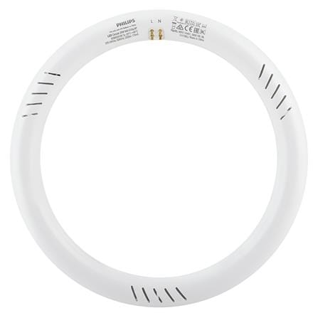 หลอด LED PHILIPS Circular 20 วัตต์ COOLDAYLIGHT G10q_2