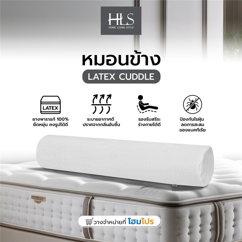 หมอนข้าง ยางพารา HOME LIVING STYLE LATEX CUDDLE