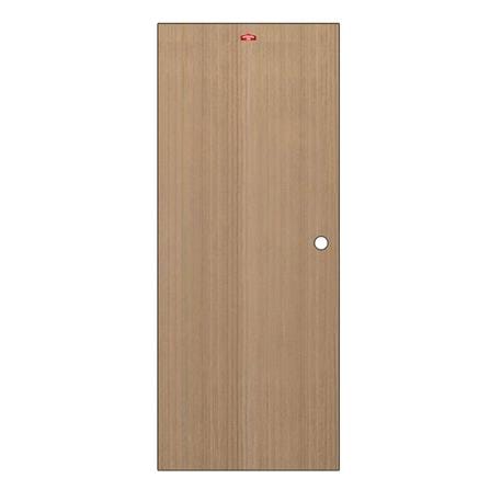 ประตูภายในเหล็ก เจาะลูกบิด PROFESSIONAL DOOR D1-40 79.2x199.4 ซม. สีน้ำตาล