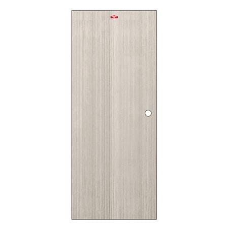 ประตูภายในเหล็ก เจาะลูกบิด D1-41 PROFESSIONAL DOOR 79.2x199.4 ซม. สีเทา_0