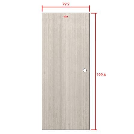 ประตูภายในเหล็ก เจาะลูกบิด D1-41 PROFESSIONAL DOOR 79.2x199.4 ซม. สีเทา_5
