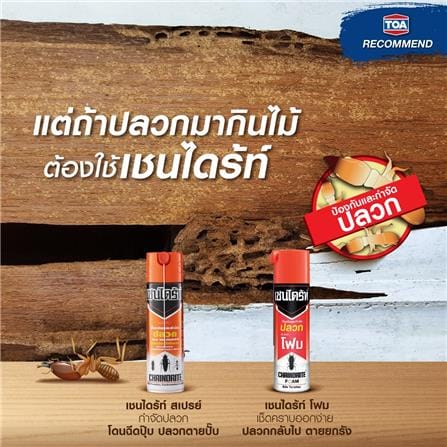โฟมกำจัดปลวก CHAINDRITE 250 มล._4