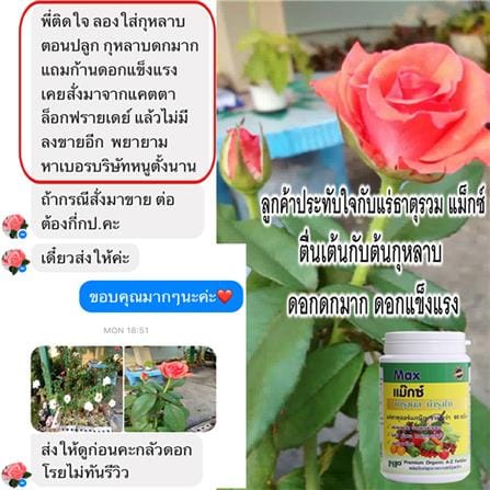 อาหารเสริมพืช NP 500G_3