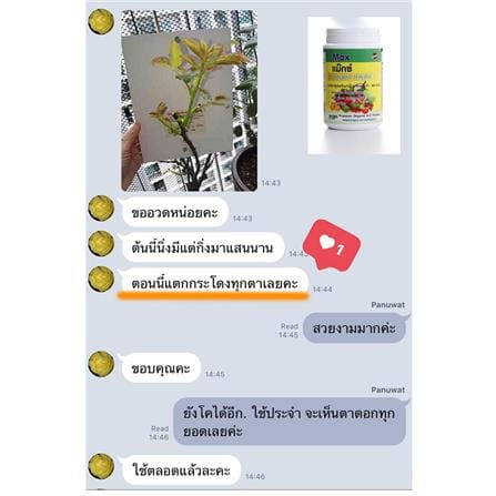 อาหารเสริมพืช NP 500G_4