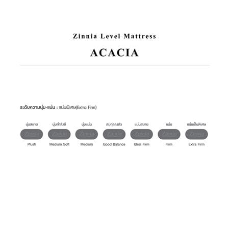 ที่นอนโฟม 6 ฟุต ZINNIA รุ่น ACACIA_1